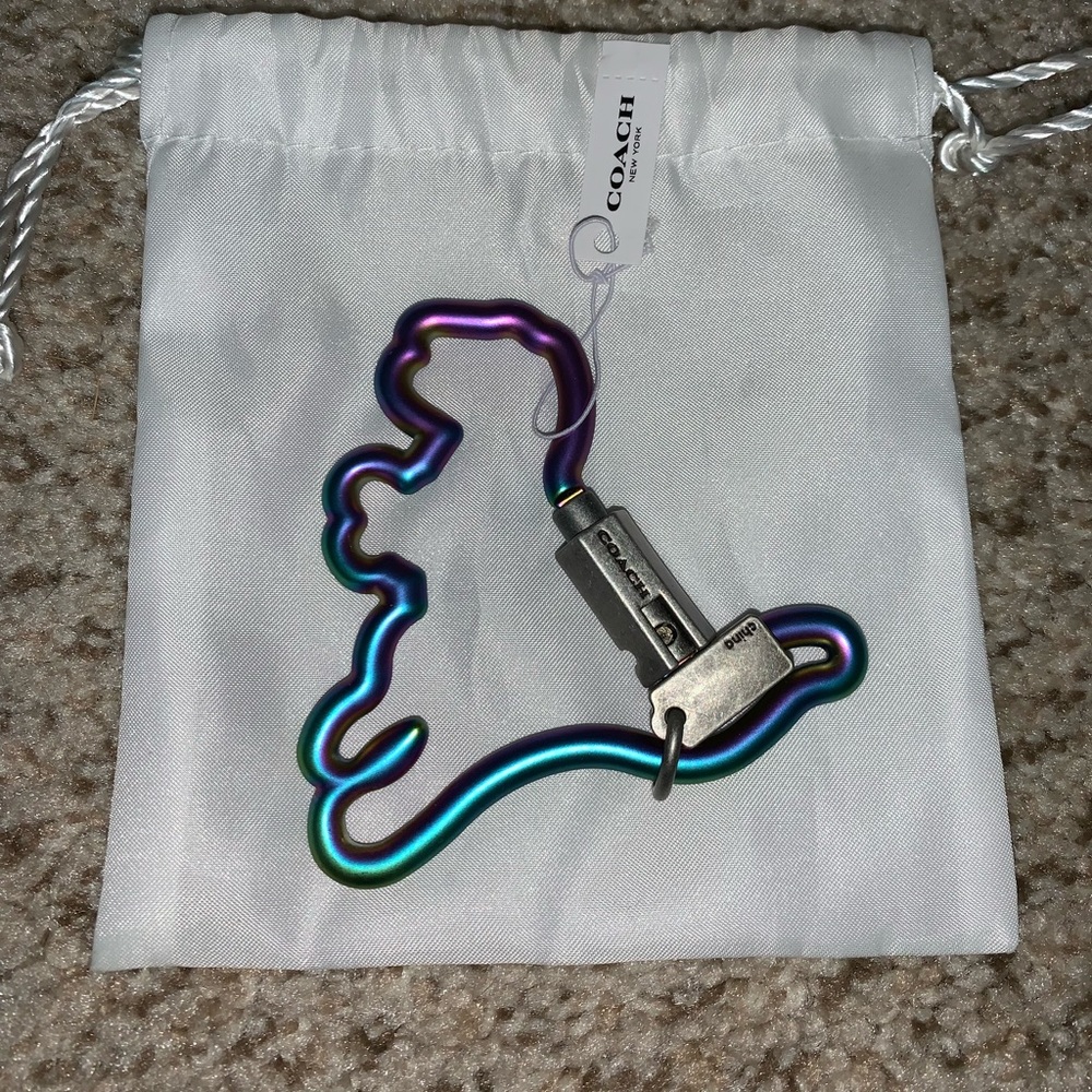 Coach Multicolor Rexy Carabiner oil slick